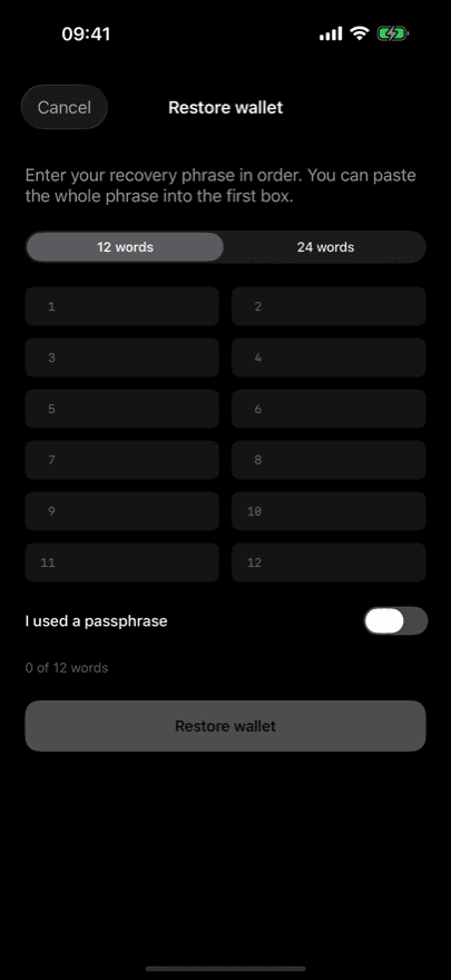 BitHedge restore screen where a 12-word BIP39 recovery phrase is typed back in to recover a Bitcoin wallet on a new iPhone